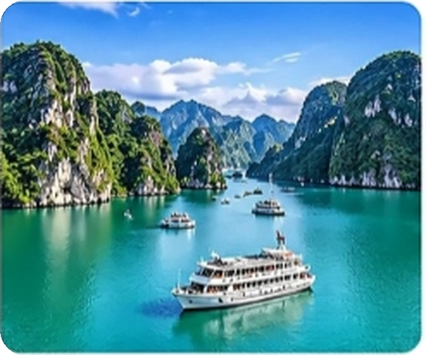 Sightseeing Tours
